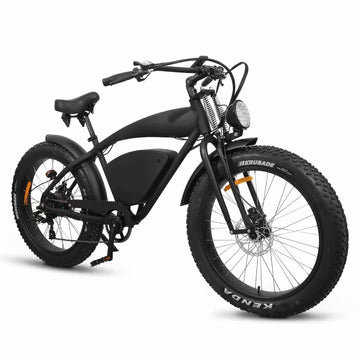 R 1200  WOW E-Ride